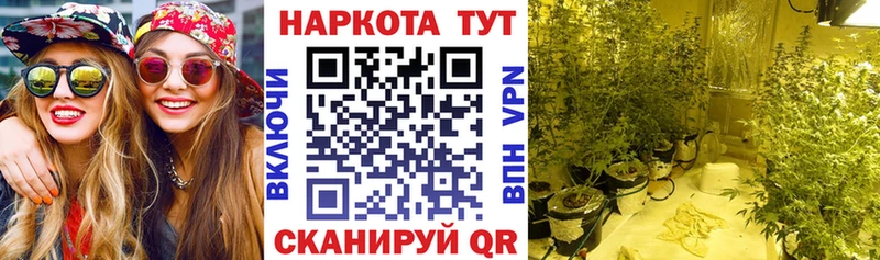 Купить Амфетамин  Метамфетамин  COCAIN  Псилоцибиновые грибы  ГАШИШ  Бошки Шишки  СОЛЬ  МЕФ  Кореновск