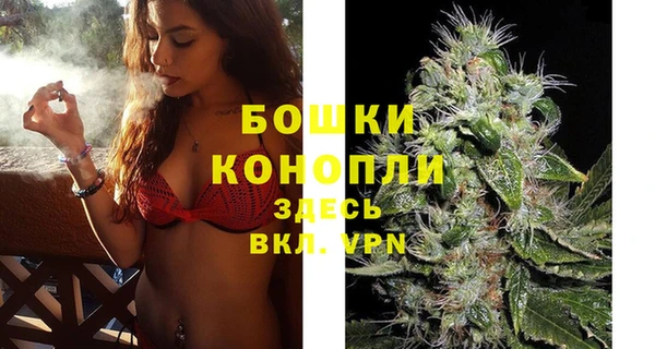 ALPHA-PVP Гусиноозёрск