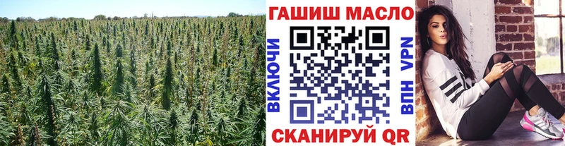Купить закладки  Кореновск  ТГК жижа 